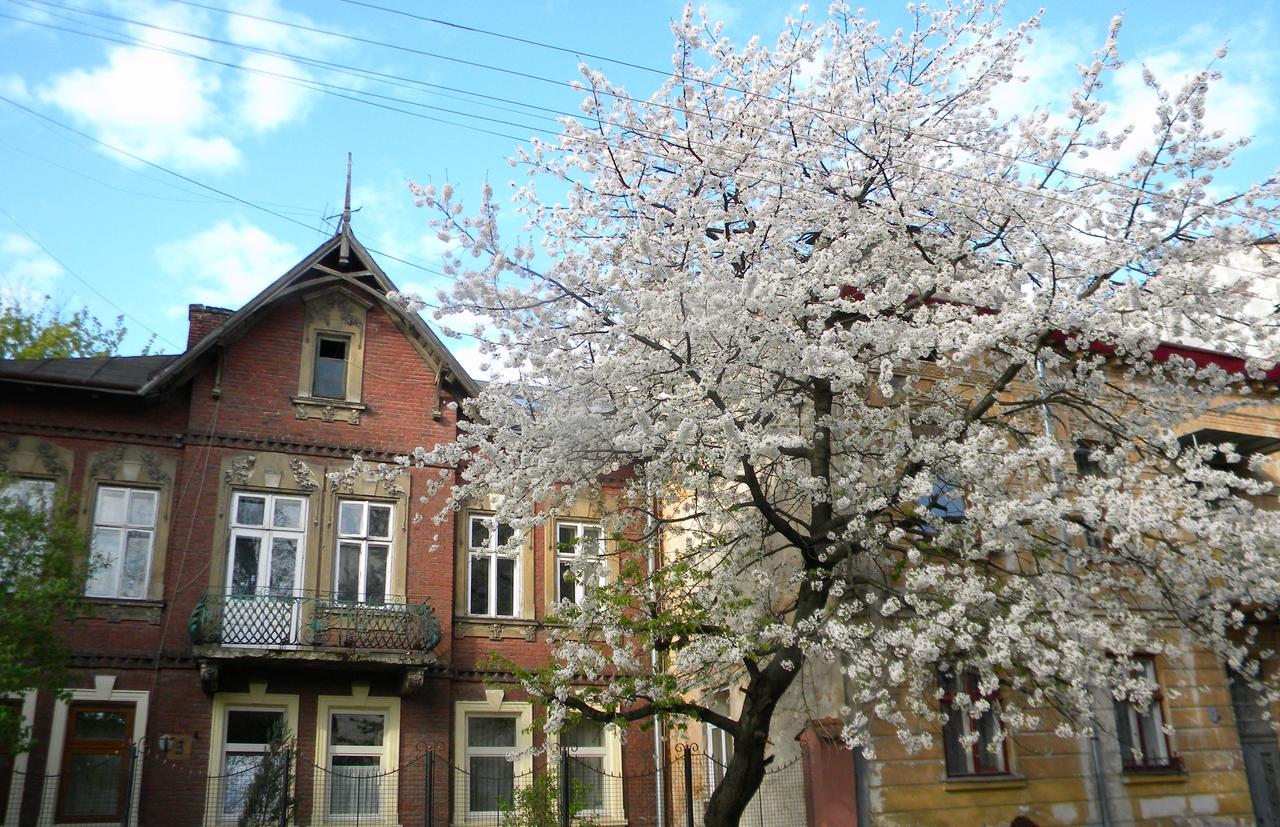 Studios At Anchevskih 3 Lviv Exterior foto