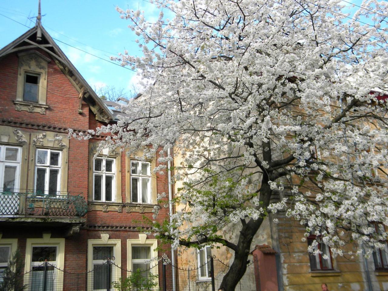 Studios At Anchevskih 3 Lviv Exterior foto